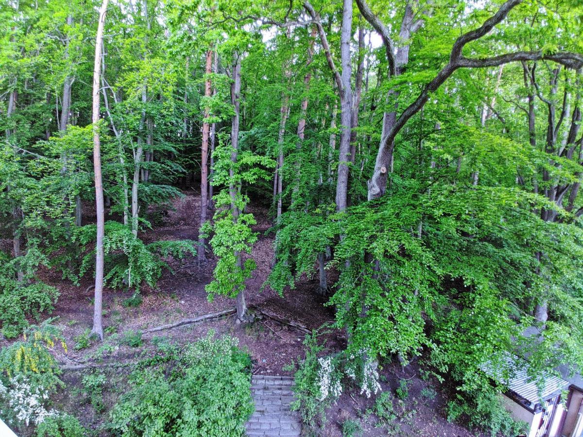 "Near The Forest" Apartment Sopot Dış mekan fotoğraf